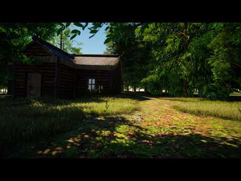 Cabin in a Forest