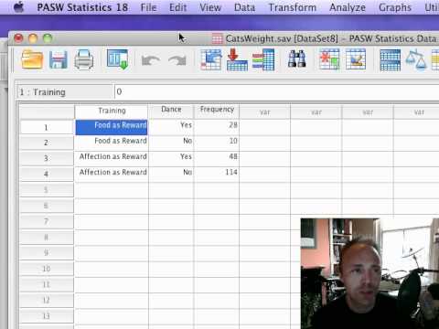 Chi-Square Test on SPSS
