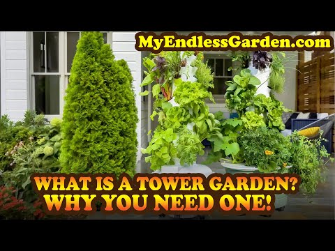 What Is a Tower Garden? Why You Need One