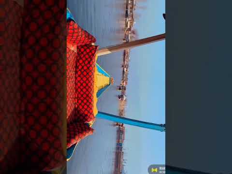 #srinagar #shikararide #view #travelvlog #travelphotography #peace