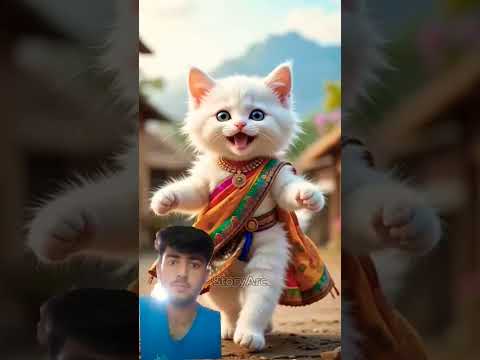 Cat beautiful Dancing 😹 😻 #subscribe #cat #funny #catshorts #funnyvedio