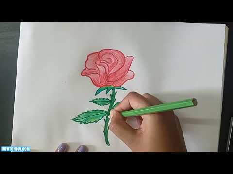 Master the Art of Drawing a Beautiful Rose - Easy Step-by-Step Tutorial