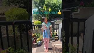 Do u think u can do this #doyou #onequestion #yougotthis