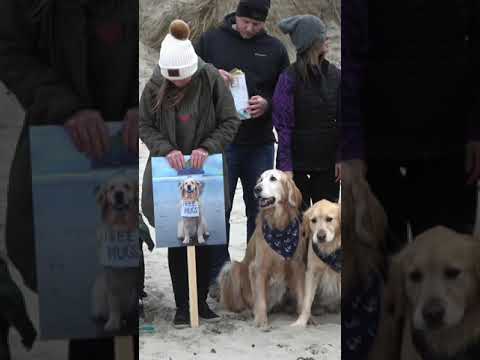 My dogs memorial celebration 🌈 #goldenretriever #petlosssupport #cannonbeach