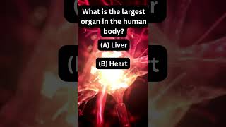 Quiz Addict 10: The Ultimate Quiz Challenge