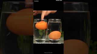 Fun and science 🔭 practical #experiment #education #shorts