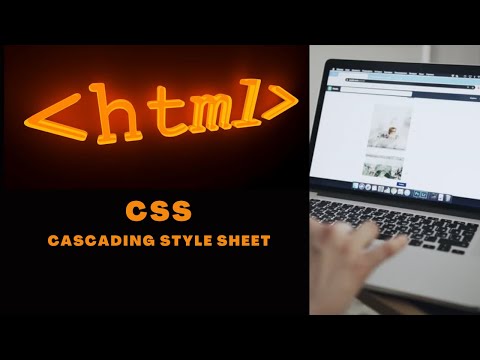 10. HTML Cascading Style Sheet (CSS)