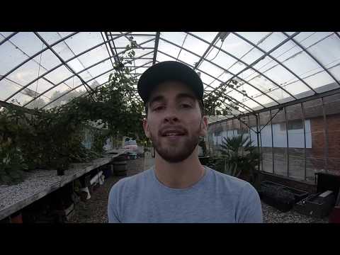 NEW FARM INTRODUCTION! | JACKS PATCH | VLOG 14