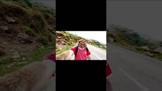 #monkey vlogger ko follow kr lo yar#FutureOfContent#AIShorts#StoryThroughAI#NextGenVlog#AIComedyRee