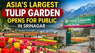 CM Omar Abdullah Inaugurates Asia’s Largest Tulip Garden in Srinagar