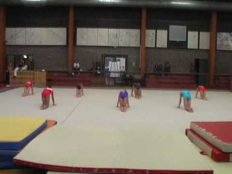 BARRE A TERRE SEPT 2009