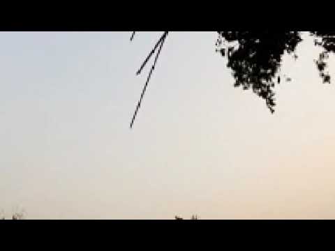 nature view evening||peacefully living