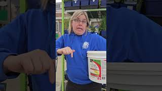 What is Corn Gluten?