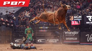 THEY CAN FLY?! | Big Time Bull Power