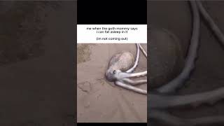 Song: Twenty7 Club by Kent Osborne #meme #funnyshorts #memehub #memesdaily #memes #funny
