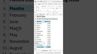 Pivot Table | Months Chronological Sorting Issue #Excel #shorts