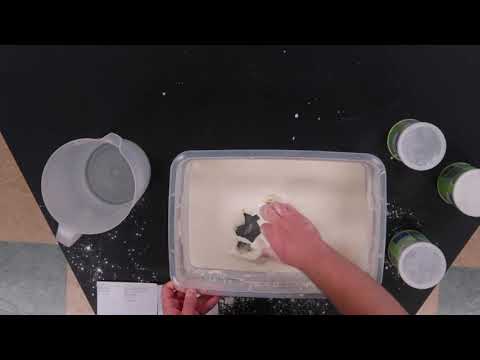 Non-Newtonian Fluid | Physics Phrydays Ep. 03 | SPS MSUM