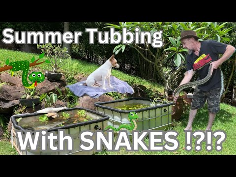 Summer Tubbing with Snakes !!