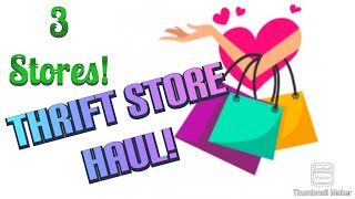 Large Triple Thrift Store Haul! 🛍️ August 15, 2025