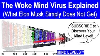 The Woke Mind Virus Explained (better than Elon Musk...)