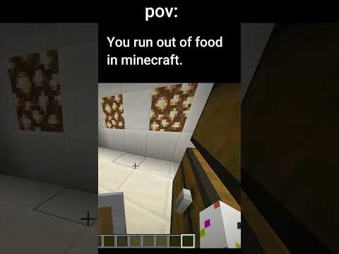 pov: you run out of food in minecraft  #minecraft #memes