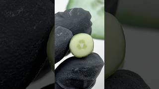 Like a pickled cucumber #astridwilk #fimo #polymerclayfood #polymerclaycanes #cucumber #pickles
