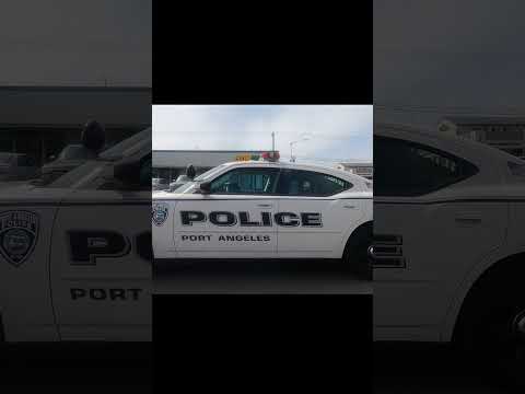 Police car left running and unoccupied, with windows partly open... is that protocol officer?