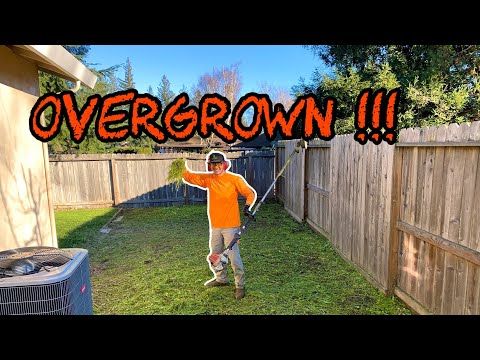Yard Clean Up / Cleaning House For Rent