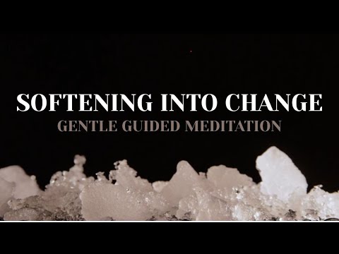 🌿 Softening Into Change | Gentle Guided Meditation 🤍✨
