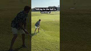 Just hit it around the puddle and sink your putt! #golf #beginnersluck #upanddown #luckyputzgolf