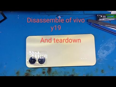 Dissasembling of vivo y19 and teardown