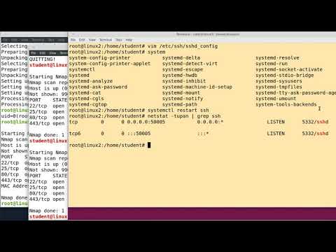 Using Nmap in Linux