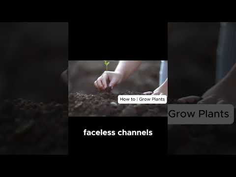 Why Faceless YouTube Channels Are Thriving!