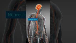 The 5 Major Neuroscience Fields #Molecular #Cellular #System #Behavioral #Cognitive #Neuroscience