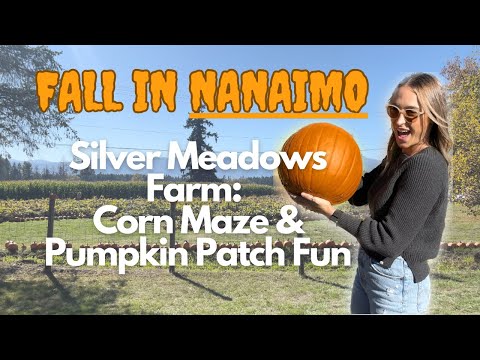 Fall in Nanaimo: Visiting Silver Meadows Farms!