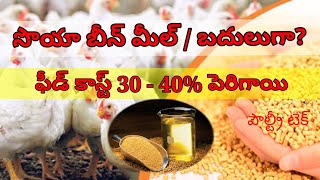 సొయా బీన్ మీల్ / రేటు ఎందుకు పెరుగుతుంది / మేత రేటు / ప్రోటీన్ సోర్స్ / పౌల్ట్రీ ఫీడ్