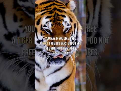 A Truly Beautiful Animal-The Tiger/30s Wisdom Quotes#motivation #poemreading #poem