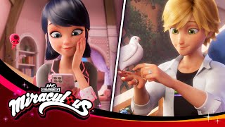 MIRACULOUS | 🐞 YAKSI GOZEN - Surprises 🐾 | SEASON 6 | Tales of Ladybug & Cat Noir