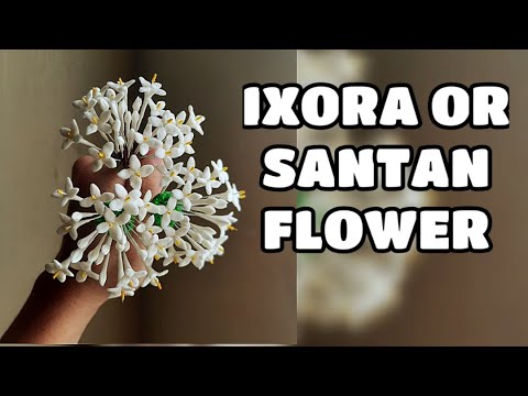 IXORA FLOWER or SANTAN made in Sugar, Clay or Cold Porcelain Vlog 39 by marckevinstyle