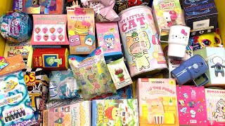 47 minutes of mystery surprise blind boxes Pop Mart, Sanrio ASMR Unboxing Sounds