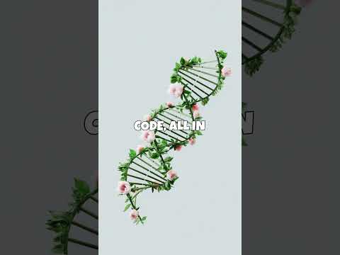 🤯 Google's Gemini AI: Not Just Text! (IMAGES, VIDEO, CODE & MORE!) #shorts