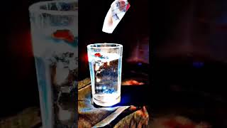 trending haldi water #love #comedy #fun #funn #loficommunity  #l#magic