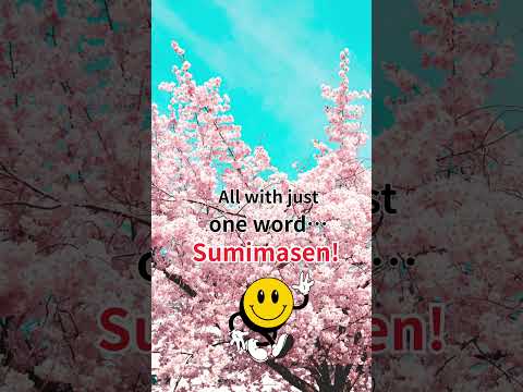 Vol.6｜One Word, 3 Meanings?! Japanese Culture Shock 😳 #sumimasen #japaneseculture #japantips
