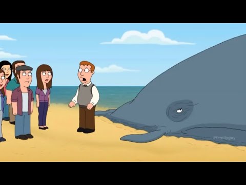 Family Guy - Peter picks up a whale with a forklift #familyguy #comedy #funny #youtube