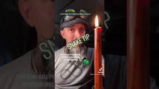 Breeding Ball Pythons: How long do I wait for a lock? #shorts #ballpythons