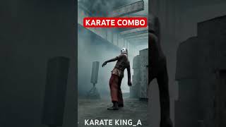 KARATE COMBO🥷🤺#ytshorts #shortsvideo #trending #trendingshorts #india #usa