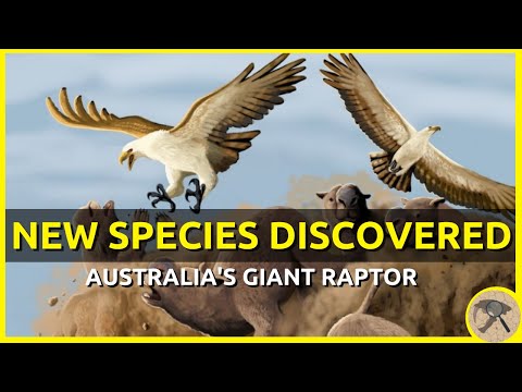 New Species Discovered: Australia's Giant Raptor (Dynatoaetus gaffae)