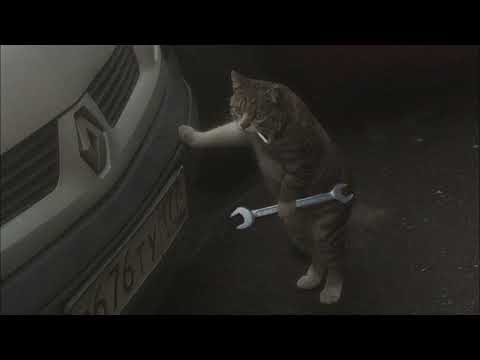 playlist to clear your thoughts [sped up]