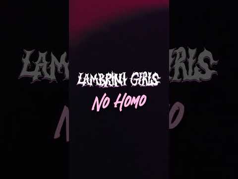 NO HOMO MUSIC VIDEO OUT NOW