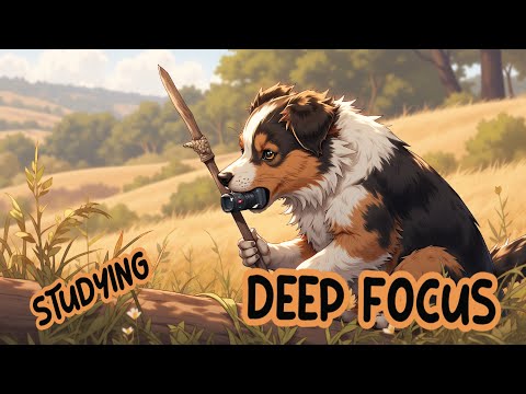 🧠 Calm & Steady Study Music | Focus & Get Things Done | Deep Focus